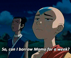 Why did Sokka need to borrow Momo for a week?