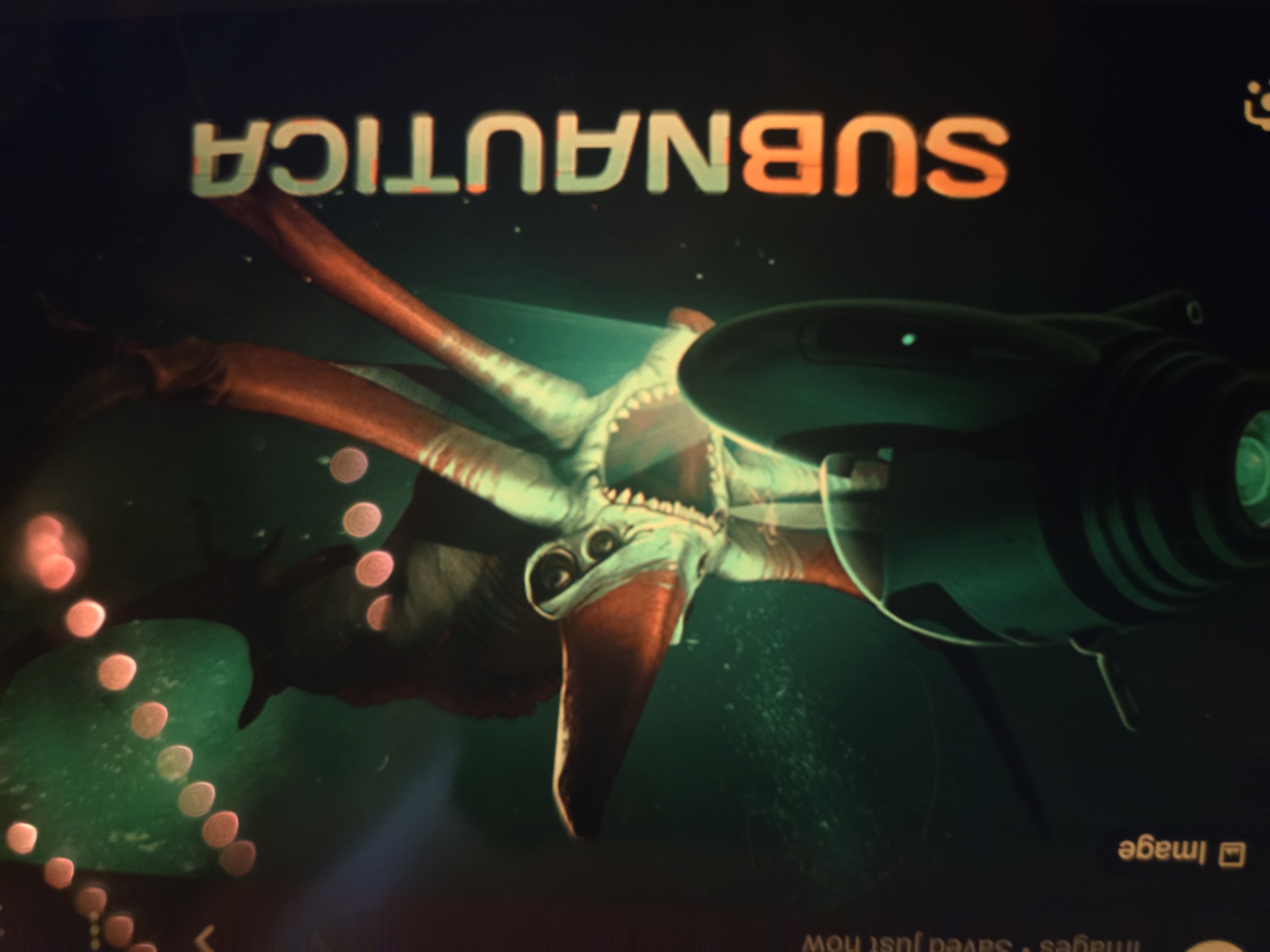 Test your Subnautica knowledge