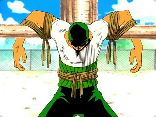 How Well Do You Know Roronoa Zoro? - TriviaCreator
