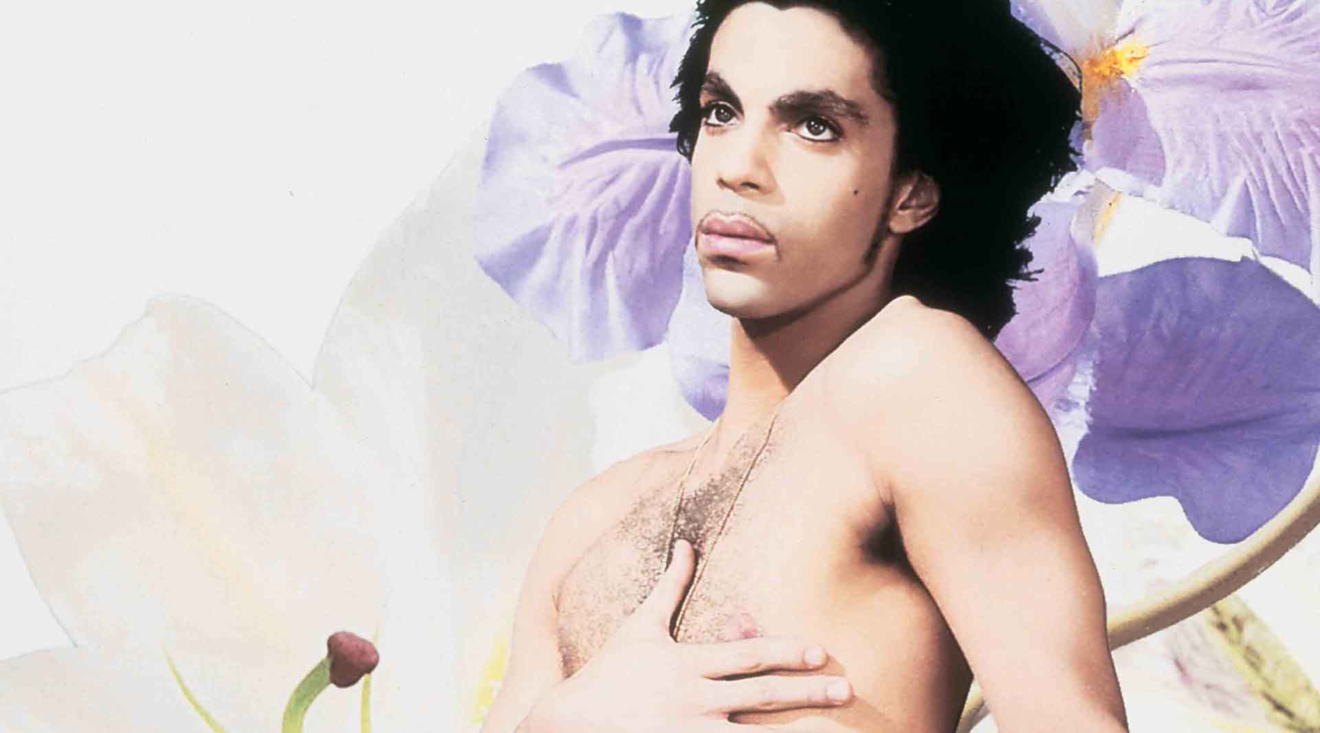 Match The Prince Song To The Album Trivia Quiz