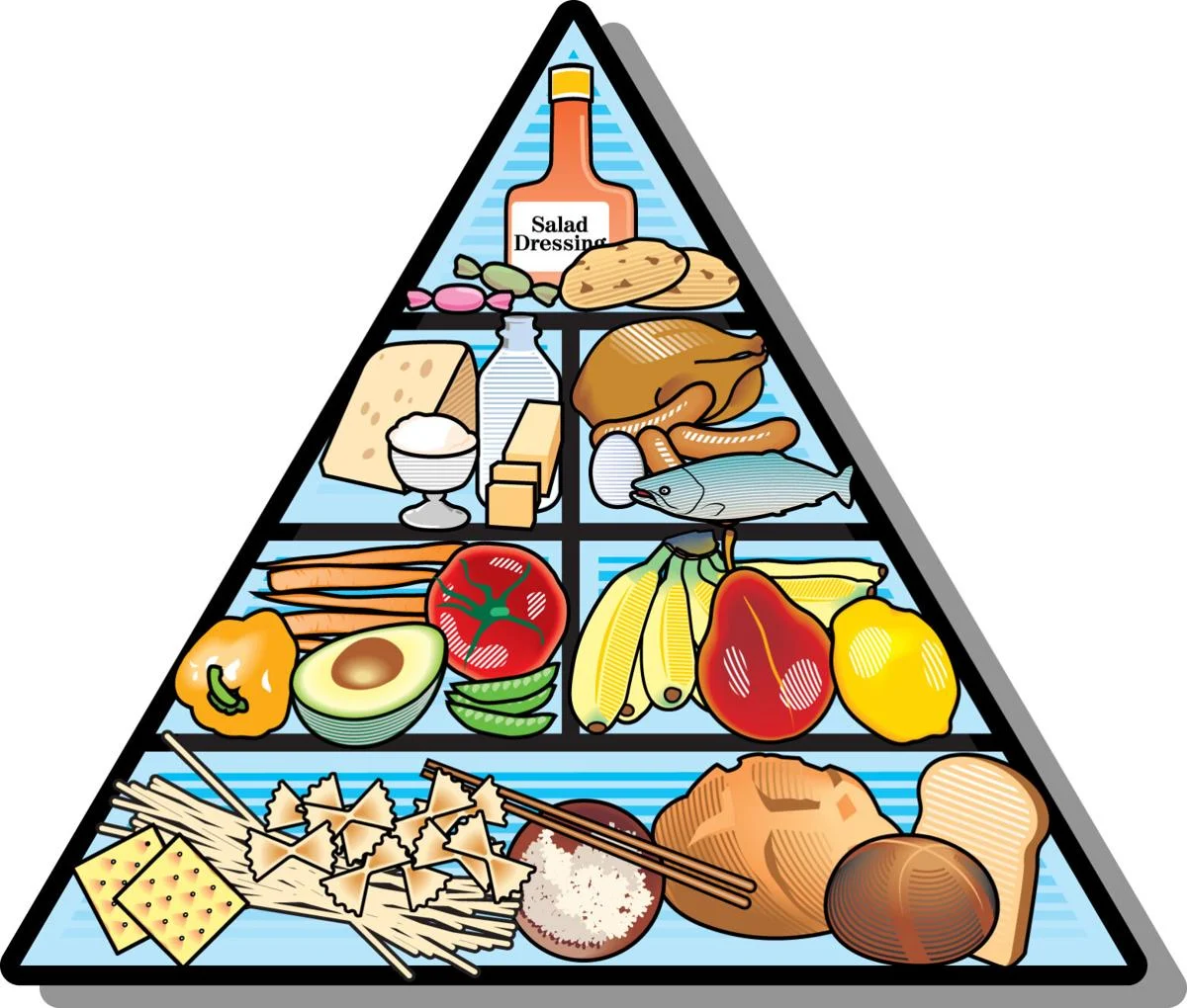 Food Guide Pyramid Trivia