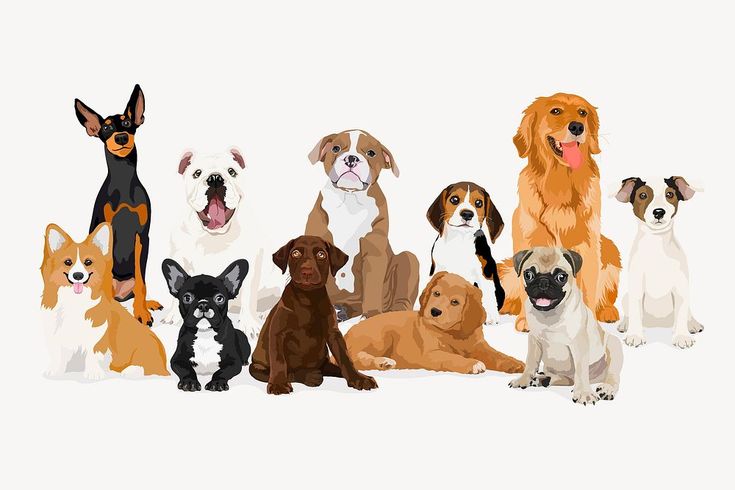 The Ultimate Dog Trivia Trivia Quiz
