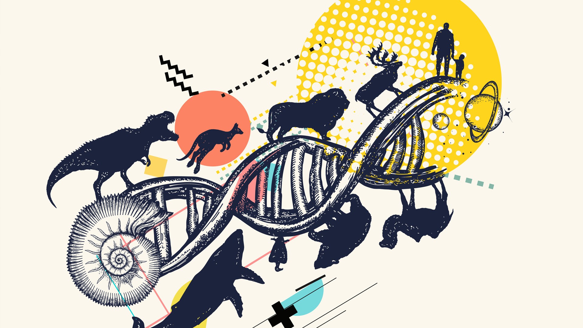 Genetics and Evolution Unit Trivia