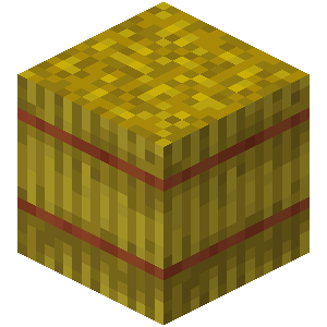 Find the Minecraft Block Quiz