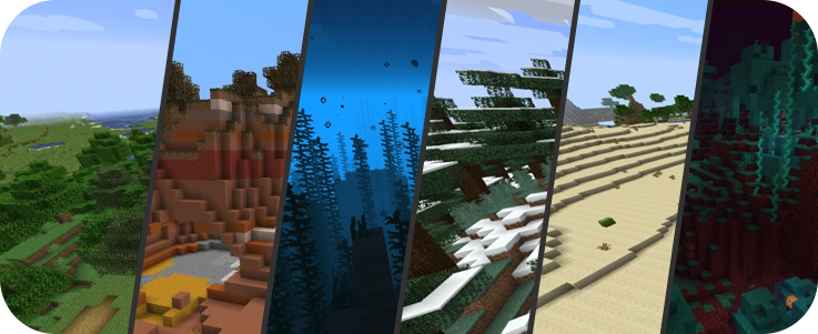 Minecraft biome quiz