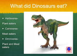 What Did Dinosaurs Eat? Quiz 1