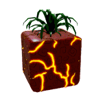 Roblox Blox Fruits Quiz - TriviaCreator