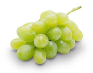 Hanukkah 2025 argentina