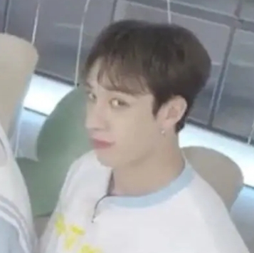 how many skz memes can you think of, stays