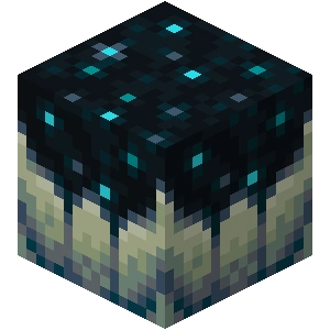 Find the Minecraft Block Quiz