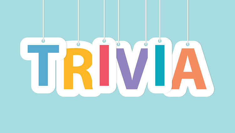 The Super Duper Trivia Quiz