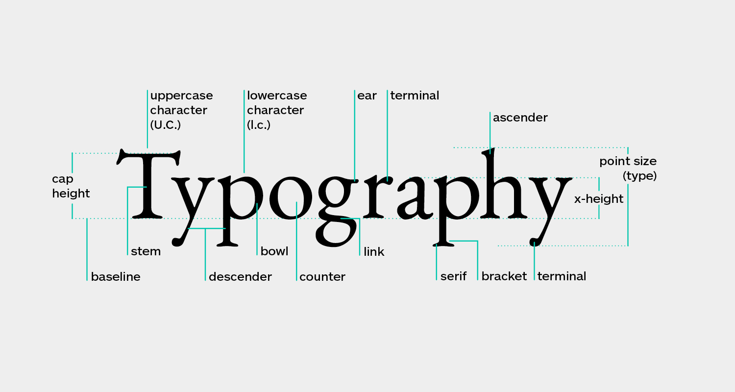 Typography ReCap (Study Questions Quiz)