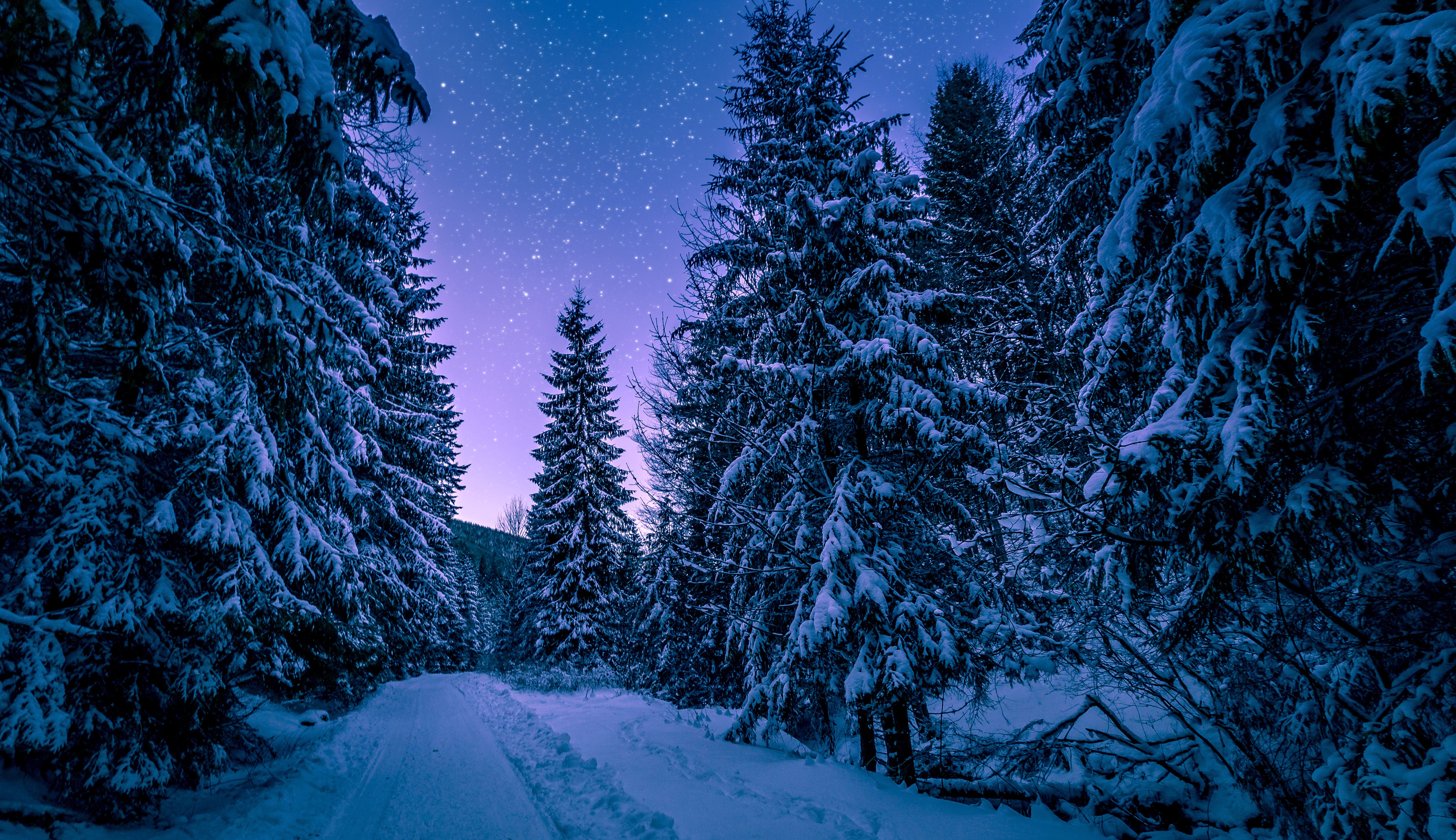 Seasons: The Winter Trivia Quiz