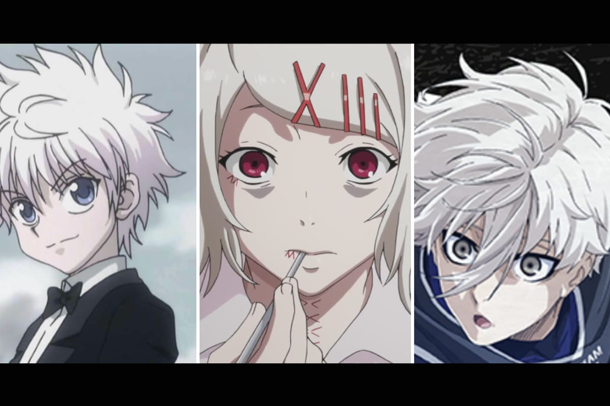 Guess the White-Haired Anime Character - GIFs Edition