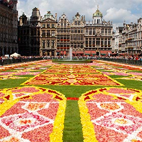 VRAI OU FAUX? Chaque année paire, la Grand-Place de Bruxelles est couverte de plus de 500 000 bégonias.