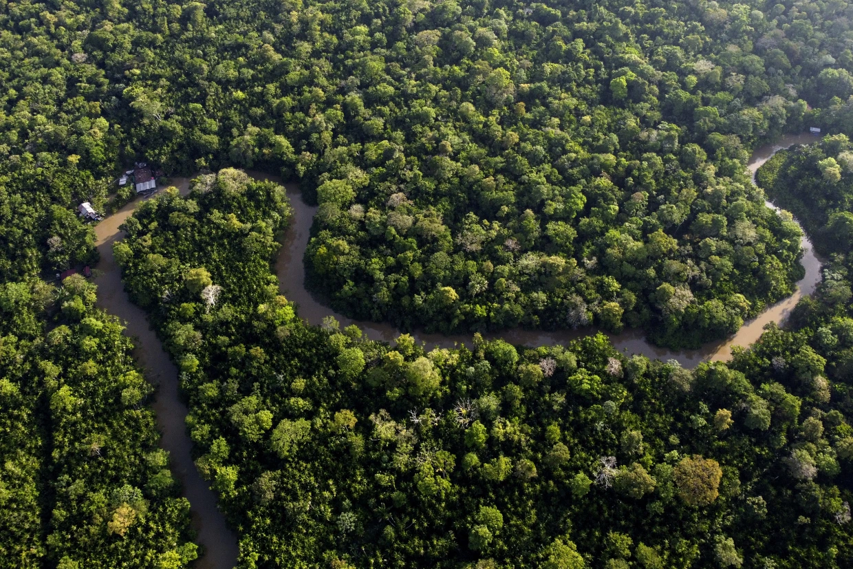 Amazon Rainforest Trivia Questions & Answers