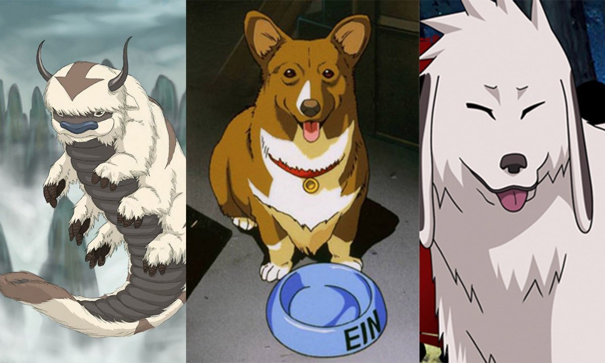 Can You Guess the Anime Based on the Pet?
