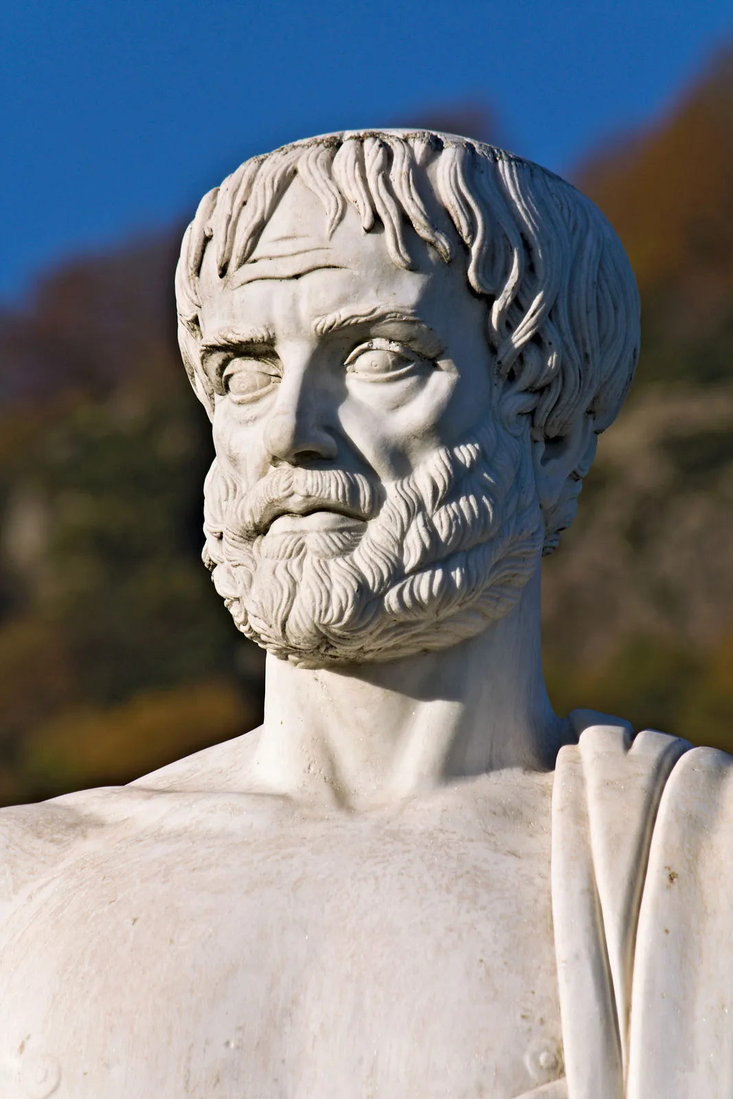 Aristotle and the three great historians