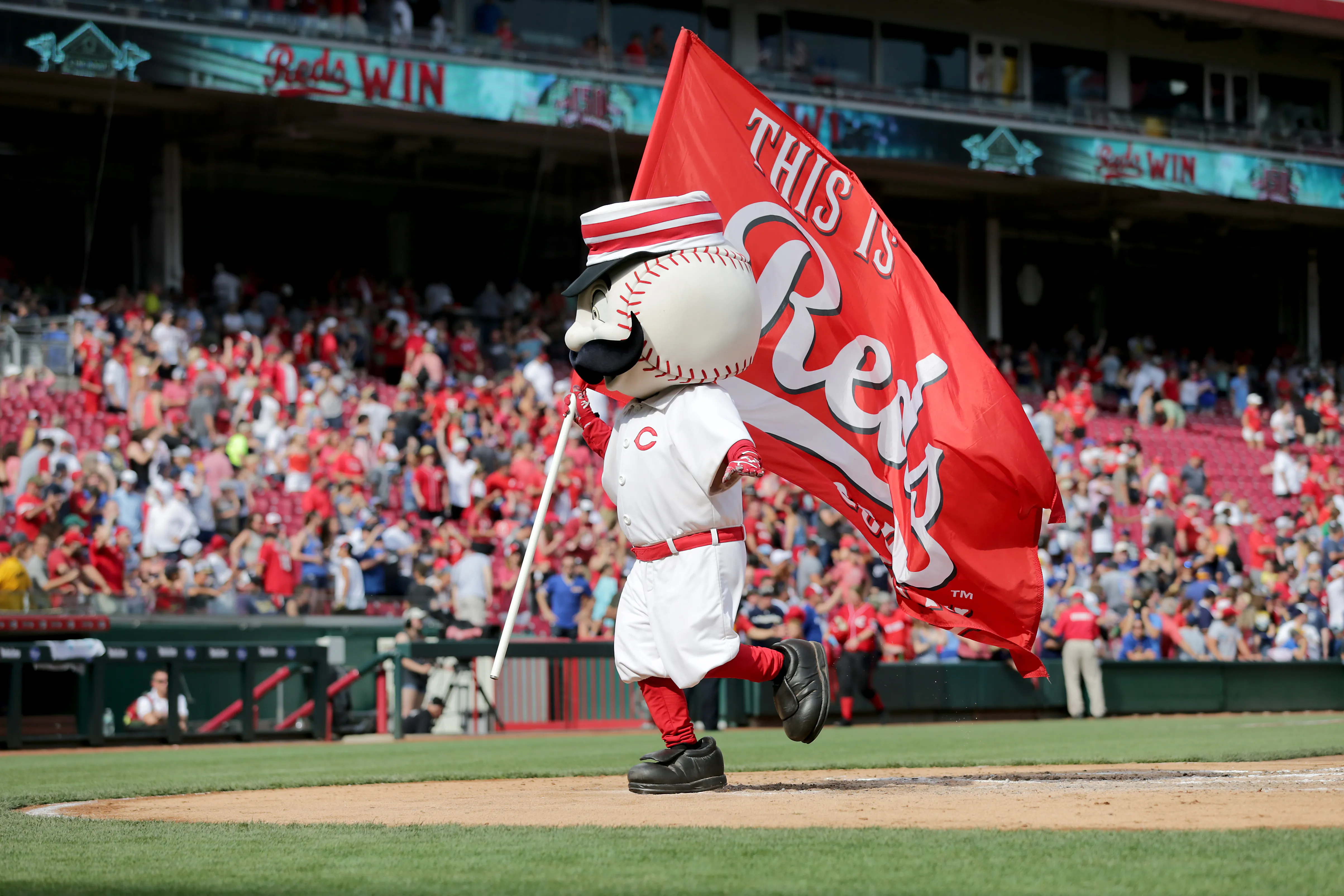 Cincinnati Reds Franchise History Quiz