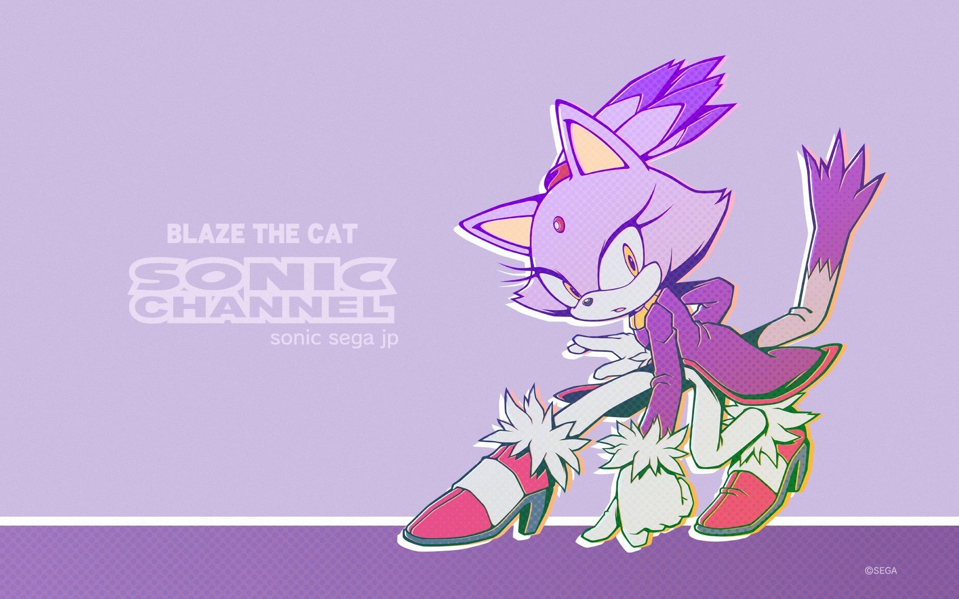 Blaze the Cat Trivia