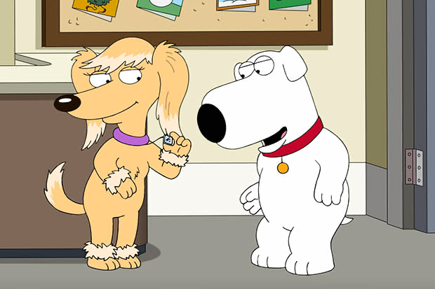 Family Guy Quiz - The Many Loves Of Brian Griffin