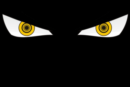 One Piece Quiz: Guess the Character by his eyes