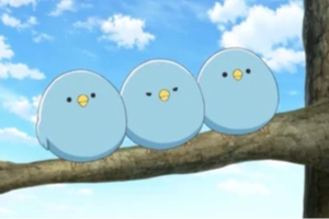 The Bird is the Word: An Anime Bird Quiz