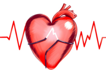 Heart Murmur Trivia
