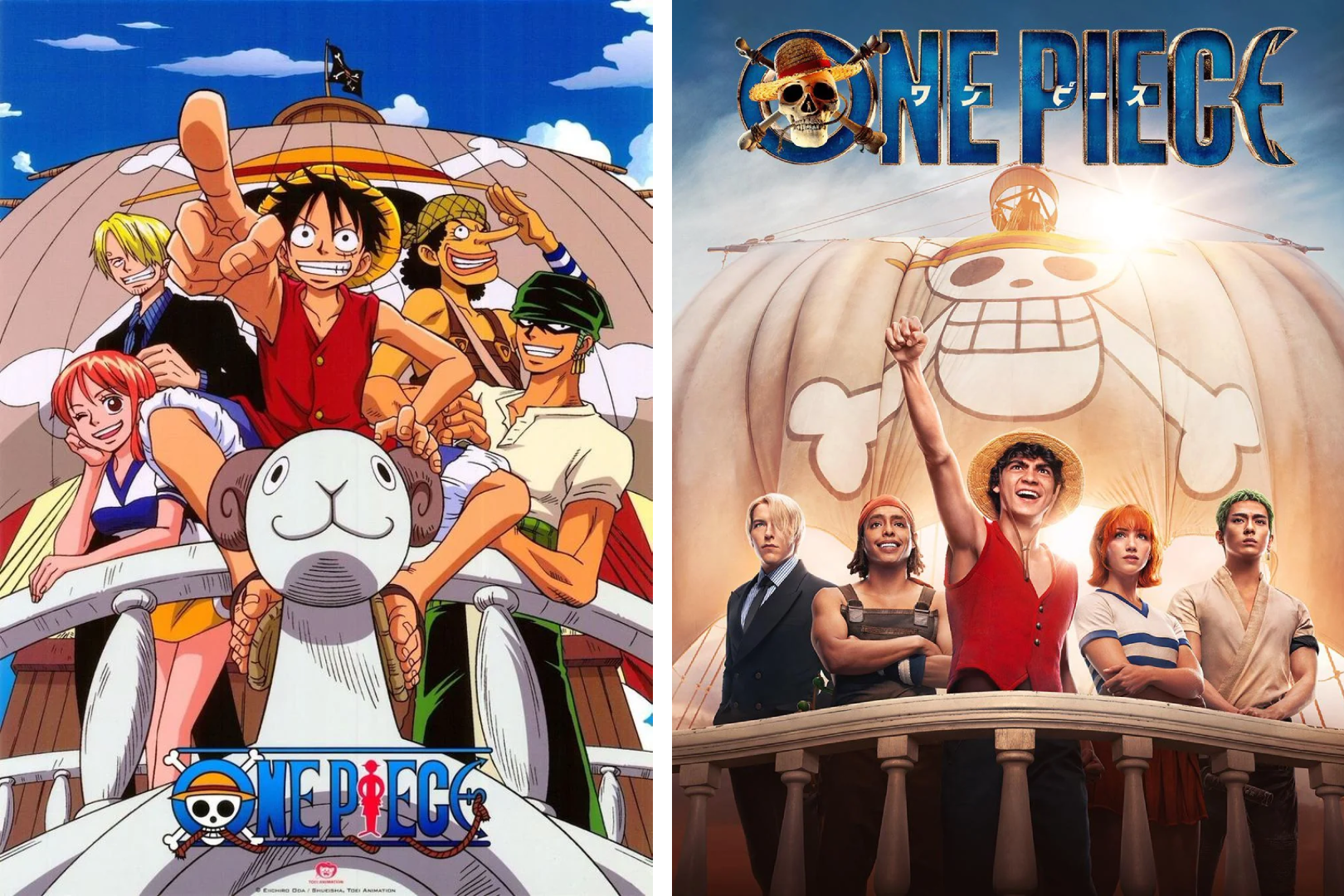One Piece Anime and Live Action Trivia