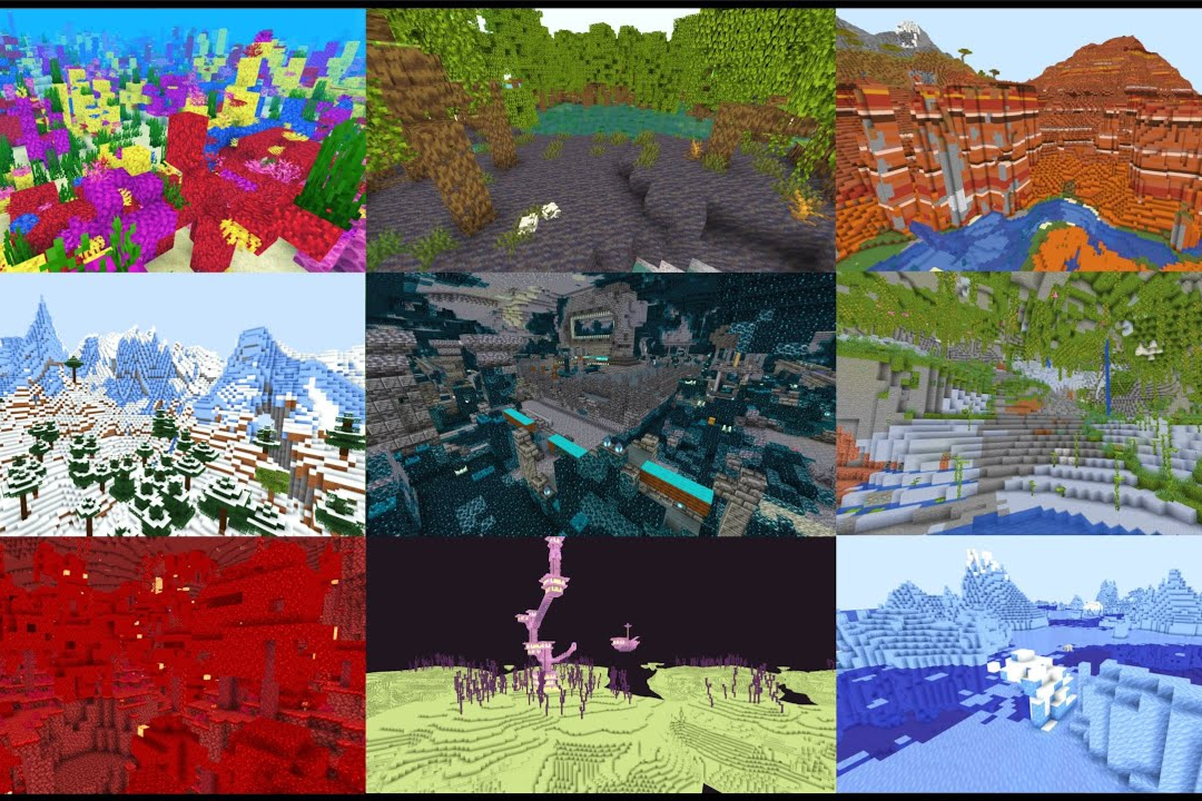 Guess the Minecraft Biome Name Quiz