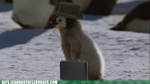 Which of These Was a REAL Job in History?