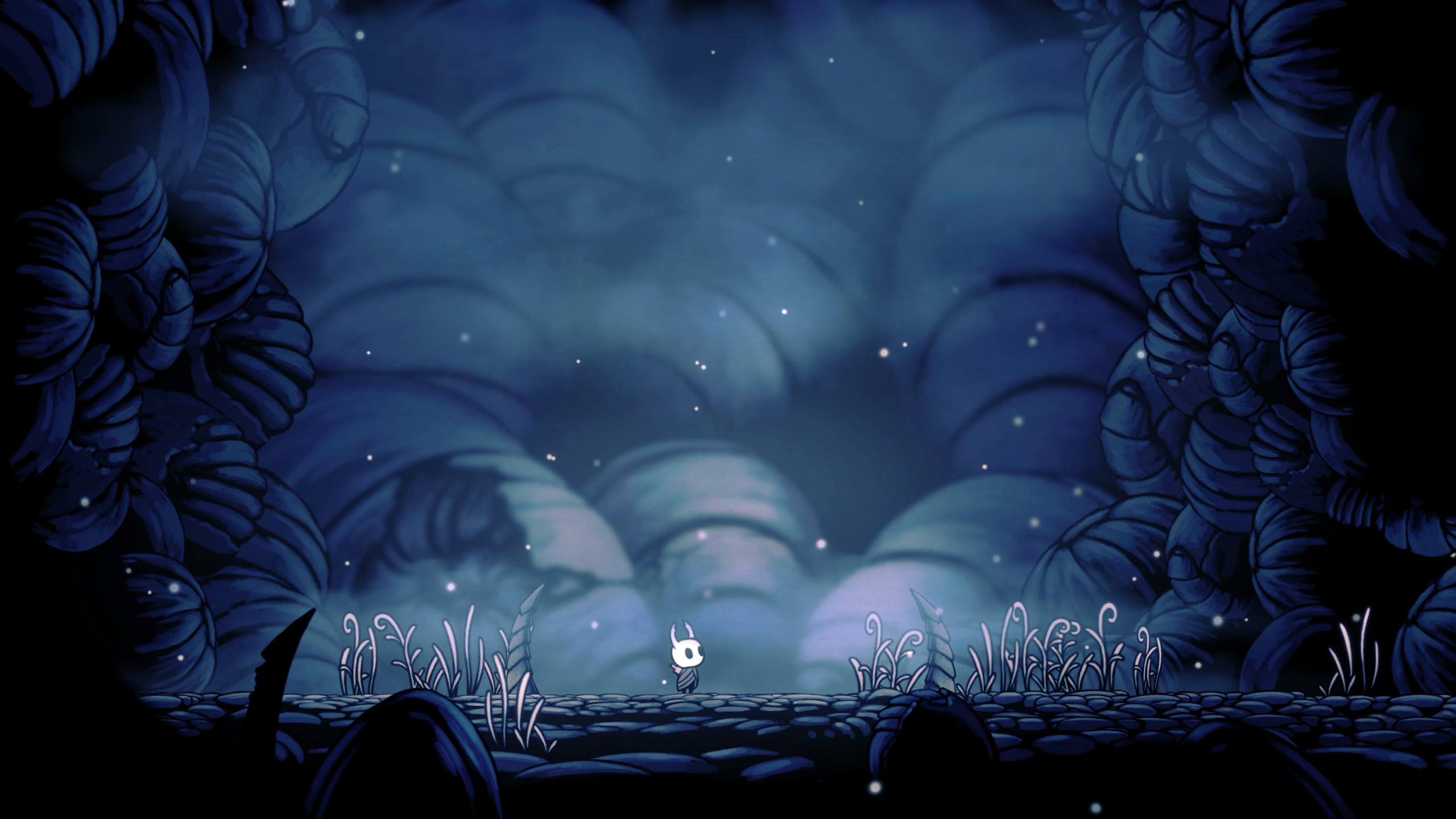 Hollow Knight King's Pass Trivia!