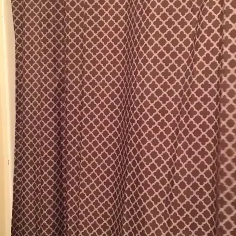 Tumblr & Vine Era Quiz (2012–2017)