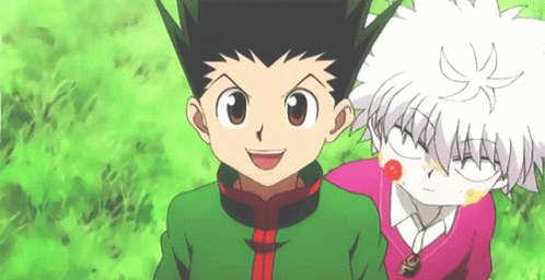 Guess the HxH character - Close-Up Edition Quiz
