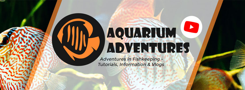 Fish Tivia - Aquarium Adventures 103