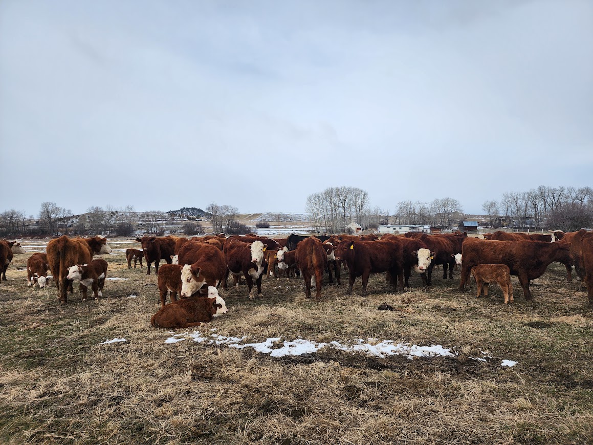 Animal Science Trivia