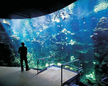 How many public aquariums are there worldwide?