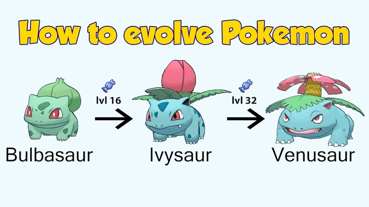 all pokemon evolutions