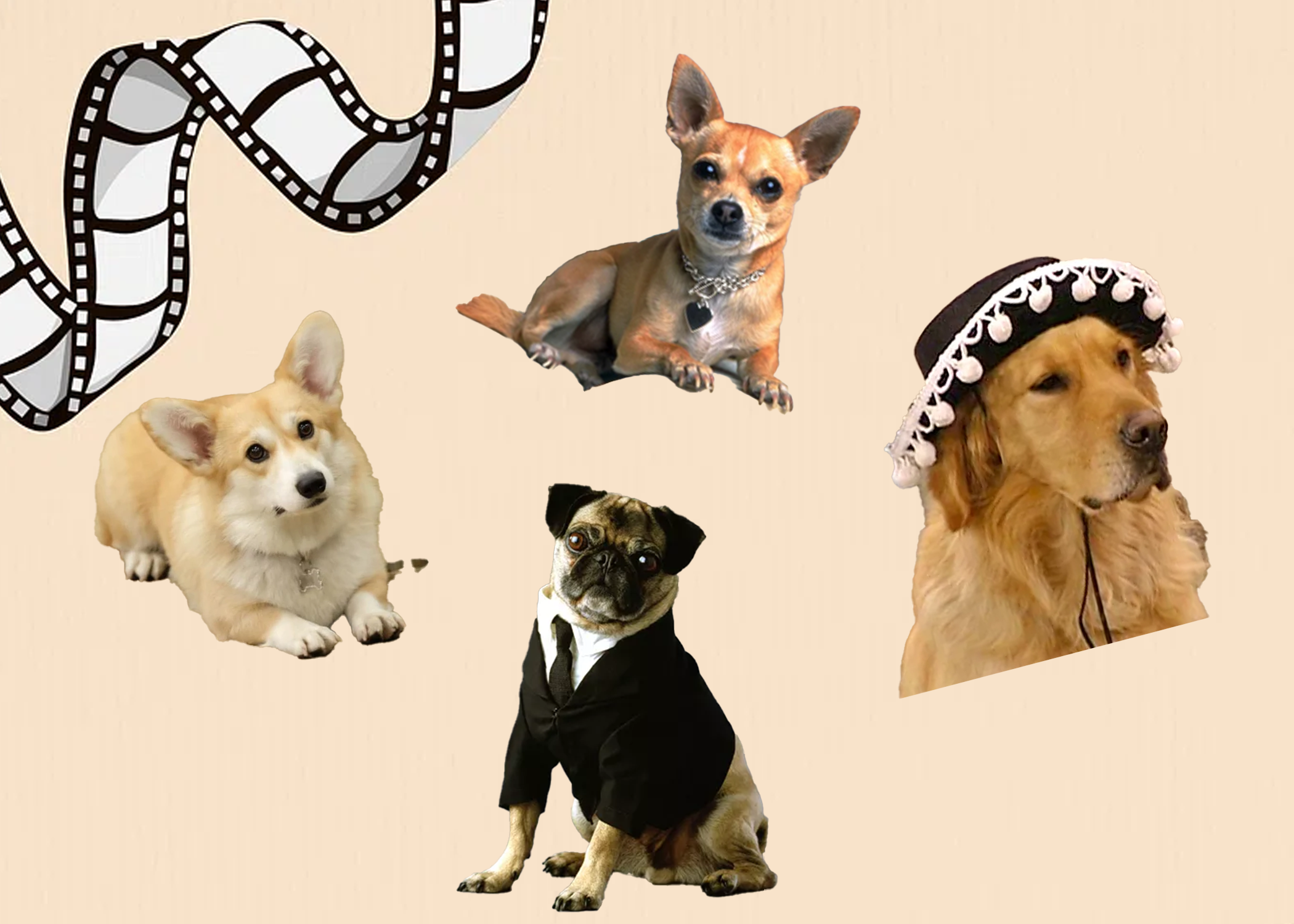 Can You Identify These Dogs From Movies and TV Shows?