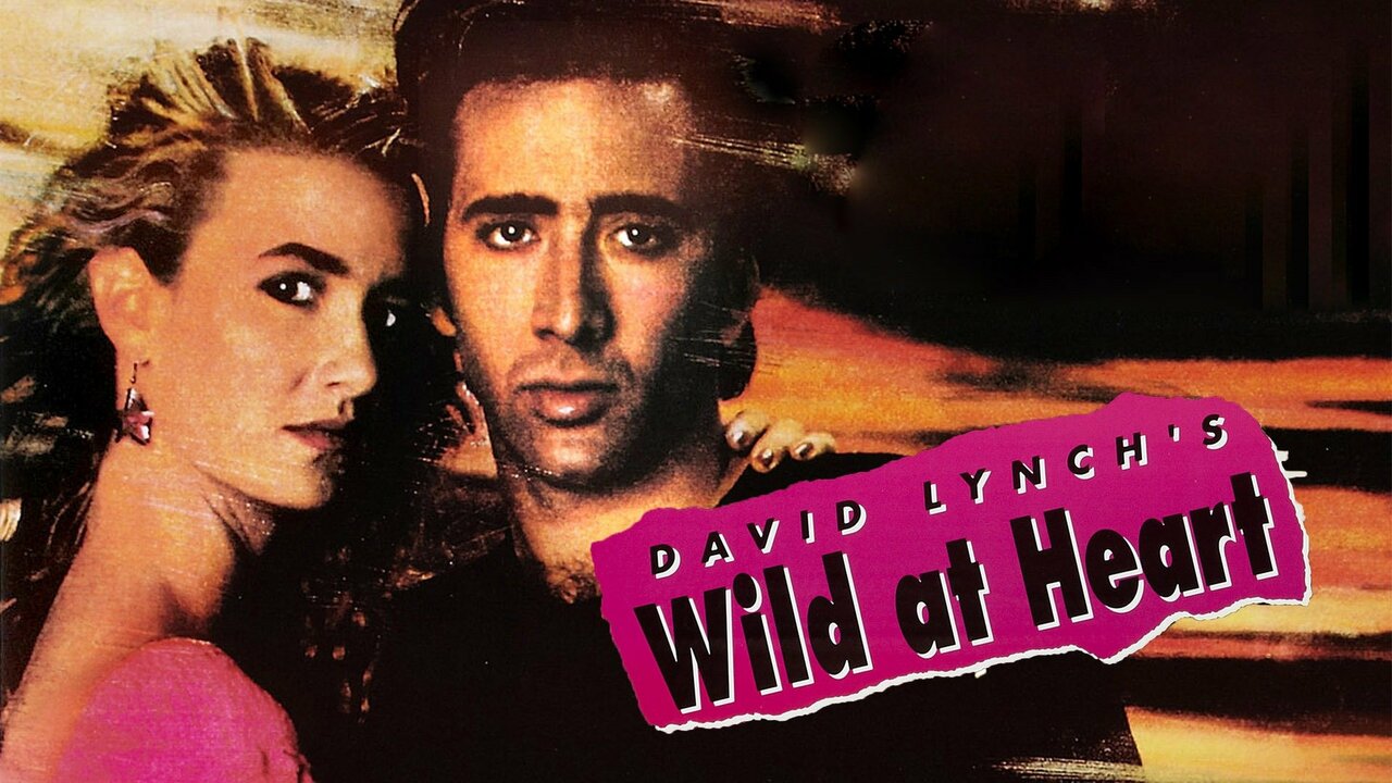 The Wild At Heart Trivia Quiz