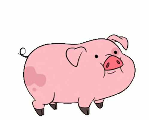 what is the Of This Pig?