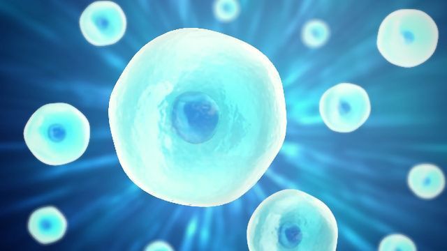 100 Basic Science Trivia Questions & Answers (multiple-choice quiz)