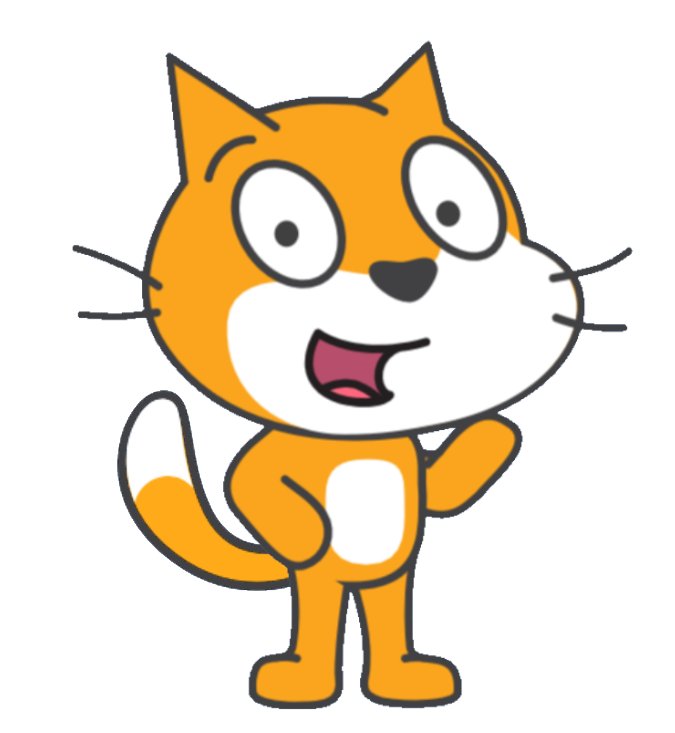 Who is the most followed in scratch