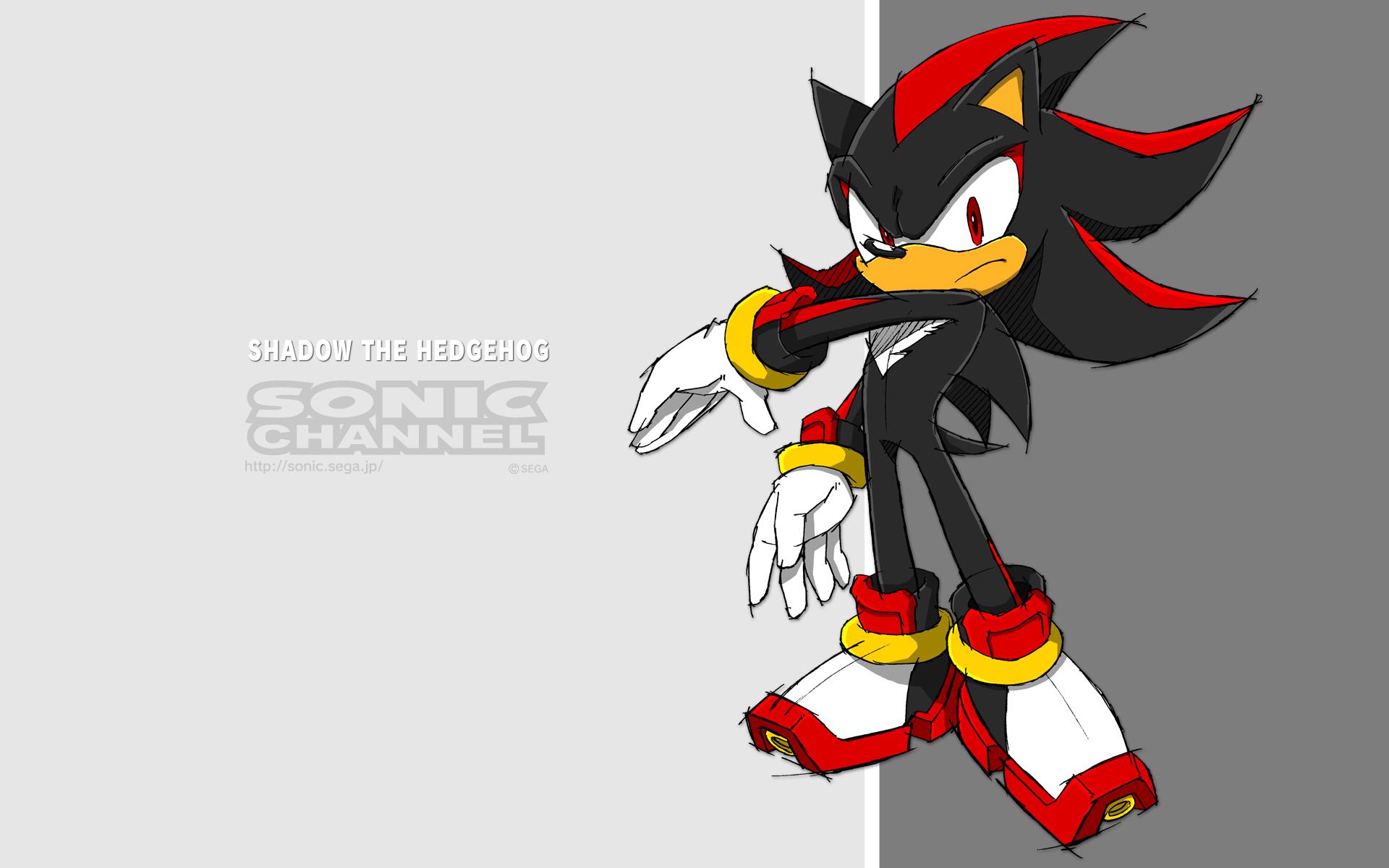 Shadow the Hedgehog Trivia
