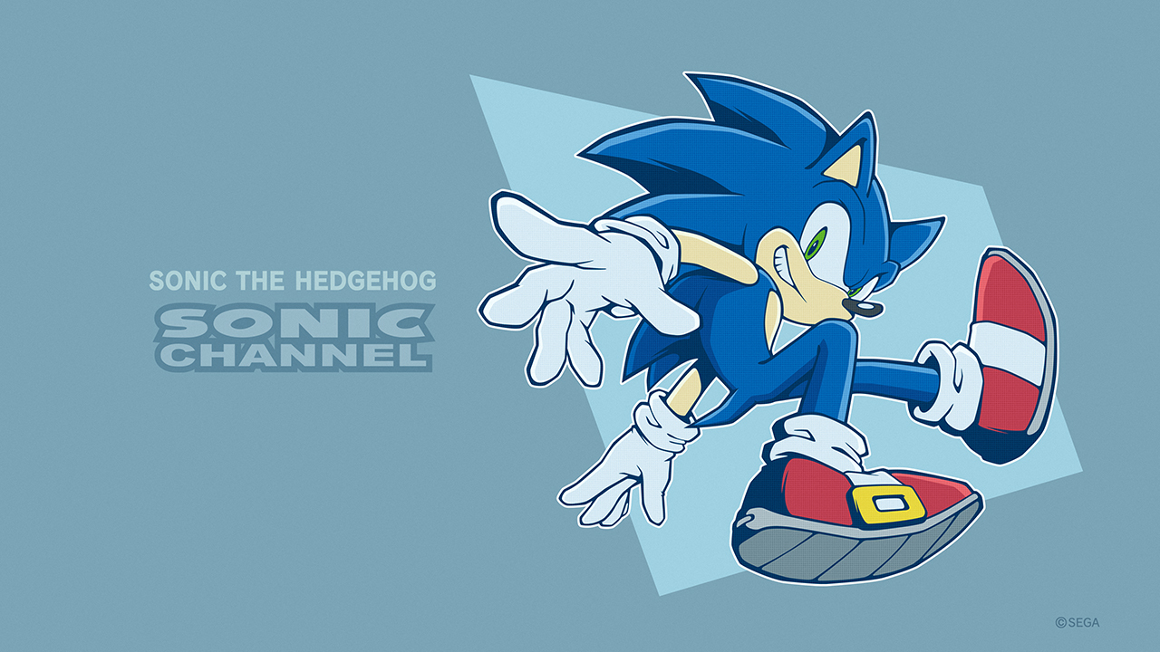 Sonic the Hedgehog Trivia