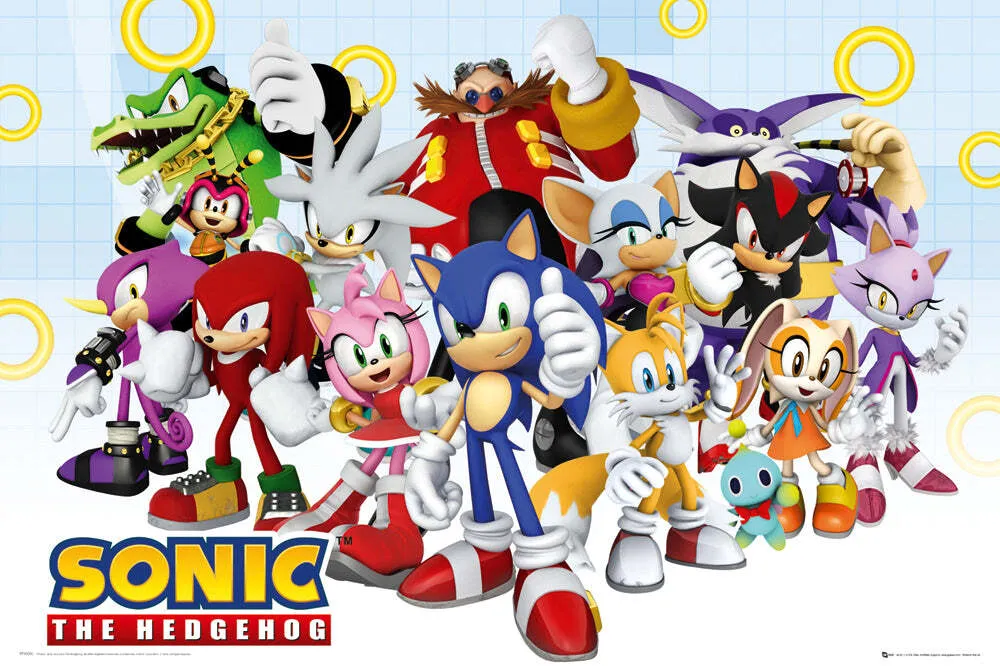 Name that Sonic Universe Character Quiz (type in answer)