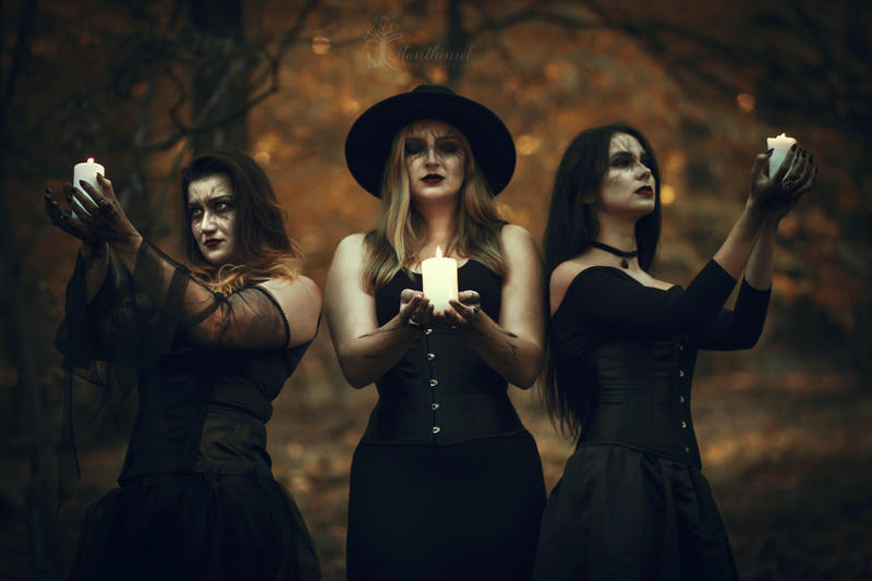 What is a group of witches called?