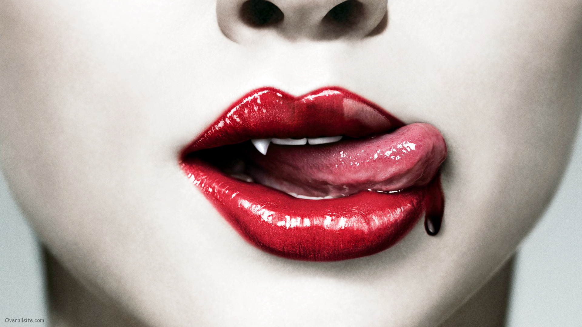 The Ultimate True Blood Trivia Quiz