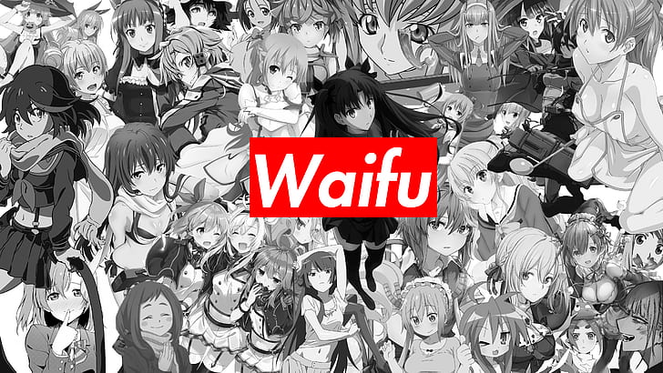 Guess the Waifu Name